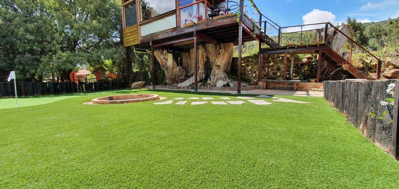 Vila Casa En El Arbol Suesca Exteriér fotografie