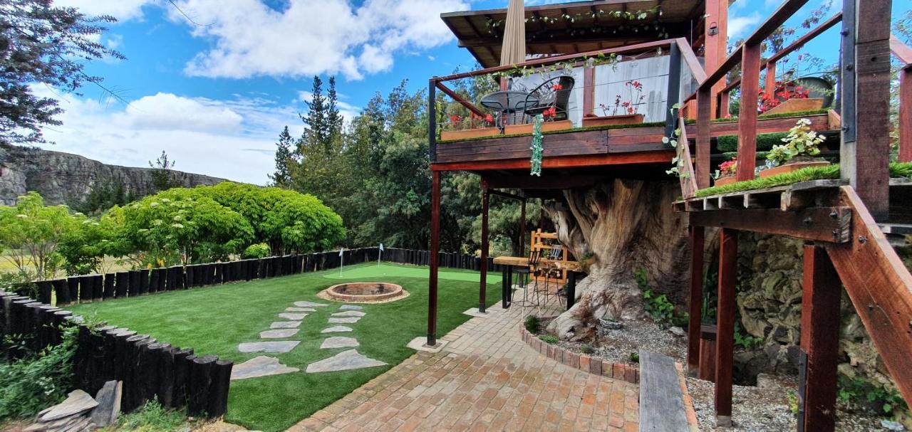 Vila Casa En El Arbol Suesca Exteriér fotografie