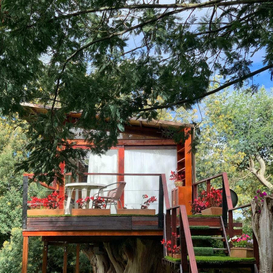 Vila Casa En El Arbol Suesca Exteriér fotografie