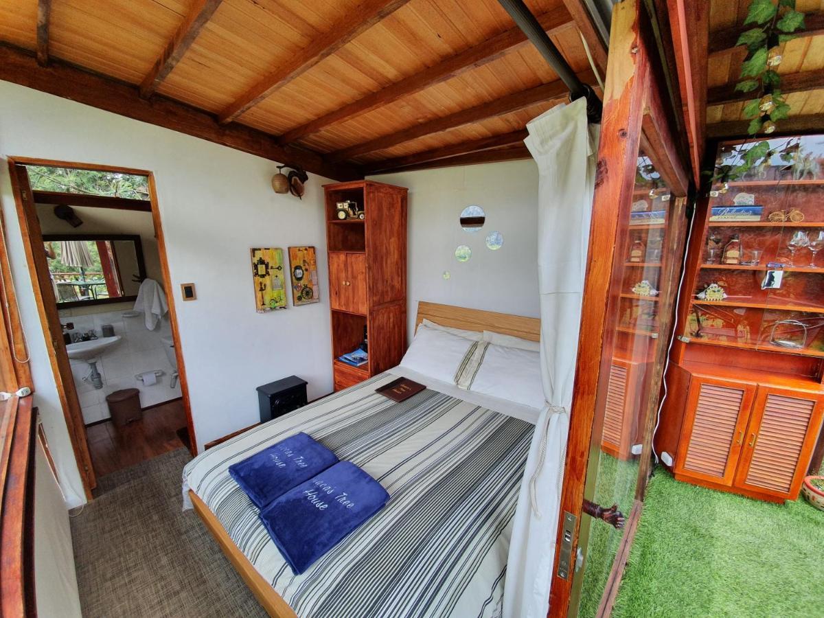 Vila Casa En El Arbol Suesca Exteriér fotografie